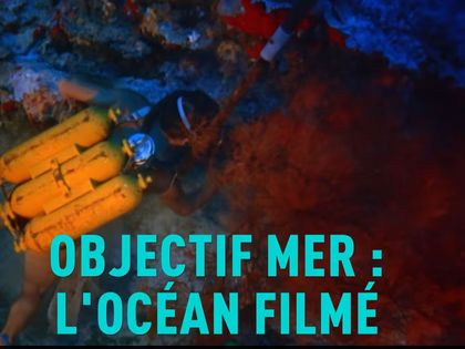 Plongée dans l'océan filmé avec Viva Cinéma